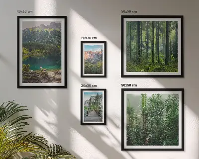 Gallery wall Berglandschappen en bossen