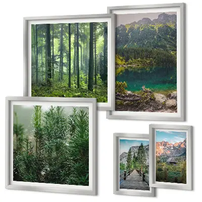 Gallery wall Berglandschappen en bossen