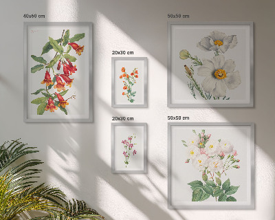 Moderne schilderijen set Bloemkundige botanische illustraties