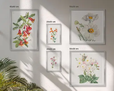 Set van moderne botanische schilderijen met bloemkundige illustraties