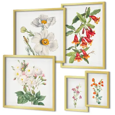 Set van moderne botanische schilderijen met bloemkundige illustraties