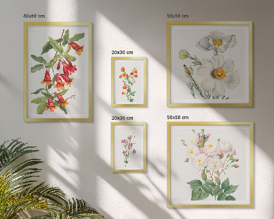 Moderne schilderijen set Bloemkundige botanische illustraties