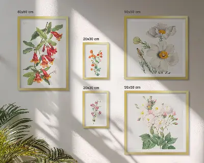 Set van moderne botanische schilderijen met bloemkundige illustraties