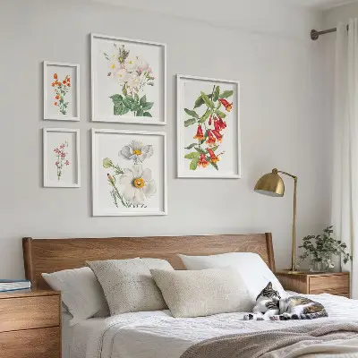 Set van moderne botanische schilderijen met bloemkundige illustraties