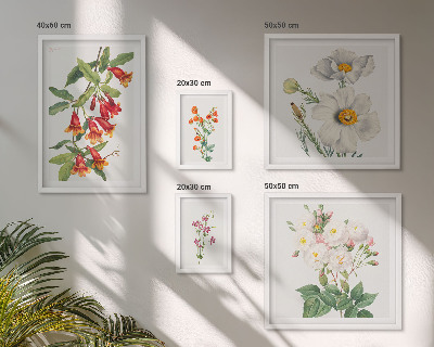 Moderne schilderijen set Bloemkundige botanische illustraties