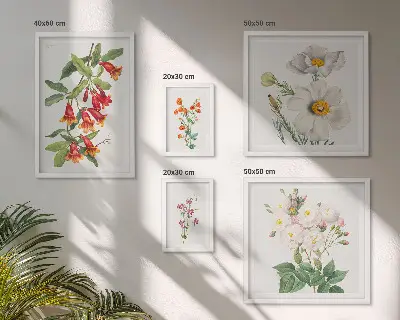 Set van moderne botanische schilderijen met bloemkundige illustraties