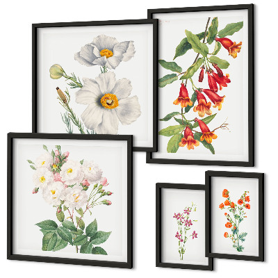 Moderne schilderijen set Bloemkundige botanische illustraties