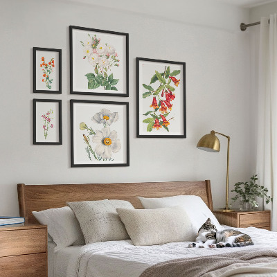 Moderne schilderijen set Bloemkundige botanische illustraties