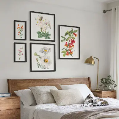Set van moderne botanische schilderijen met bloemkundige illustraties