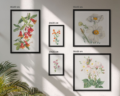 Moderne schilderijen set Bloemkundige botanische illustraties