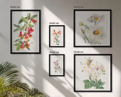 Set van moderne botanische schilderijen met bloemkundige illustraties