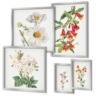 Set van moderne botanische schilderijen met bloemkundige illustraties