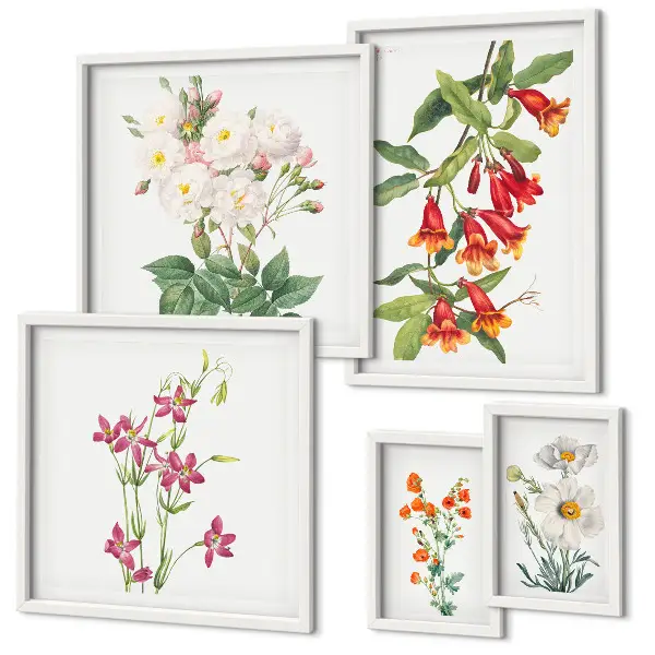Gallerijmuur bloemmotieven set met bloemenprints