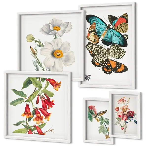 Wanddecoratie compositie met bloemen, vlinders, vogels en vintage elementen