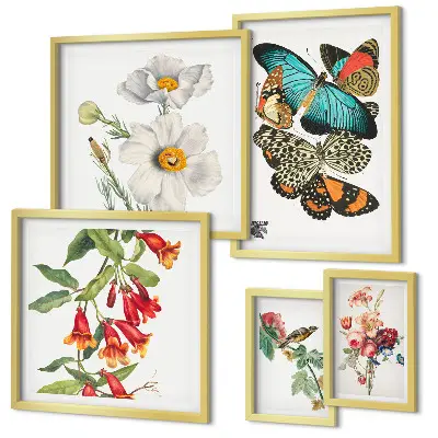 Wanddecoratie compositie met bloemen, vlinders, vogels en vintage elementen