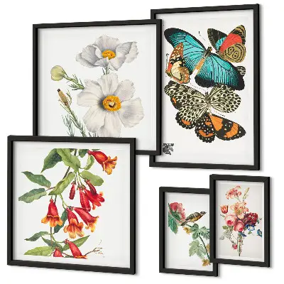 Wanddecoratie compositie met bloemen, vlinders, vogels en vintage elementen