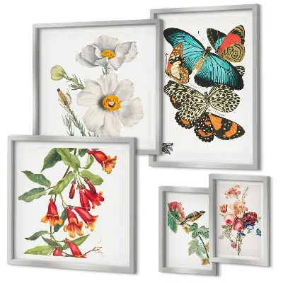 Wanddecoratie compositie met bloemen, vlinders, vogels en vintage elementen