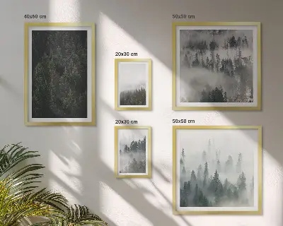 Gallery wall Groene bossen in mistige landschappen