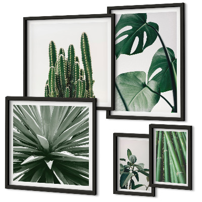 Moderne schilderijen set Groene tropische kamerplanten