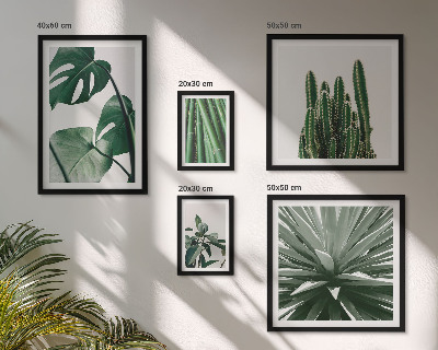 Moderne schilderijen set Groene tropische kamerplanten