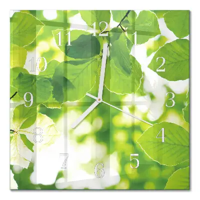 Moderne wandklok glas vierkant Bladeren