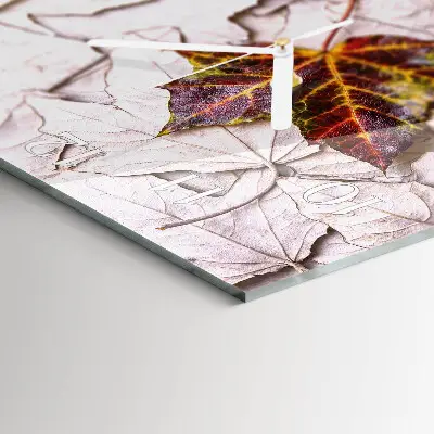 Moderne wandklok glas vierkant Esdoornblad