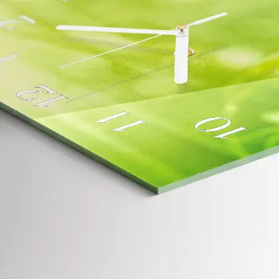 Vierkante glazen wandklok Gras