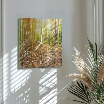 Moderne wandklok glas vierkant Bospad