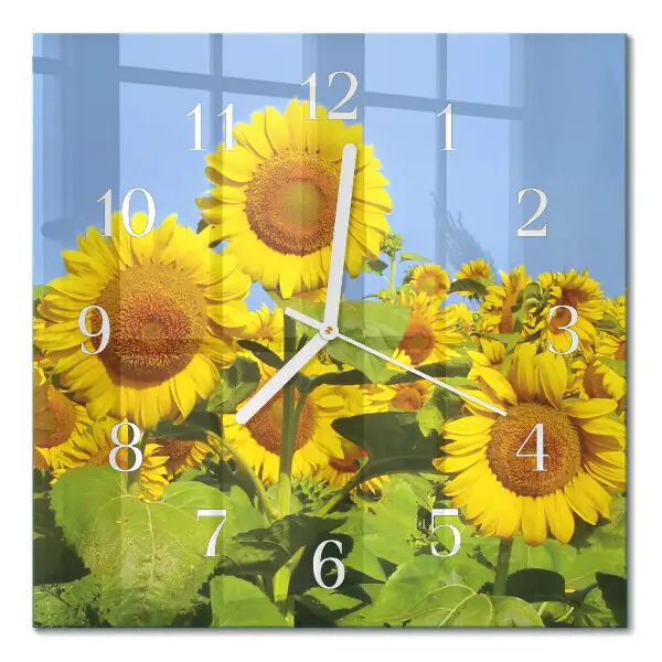 Vierkante glazen wandklok Zonnebloemen