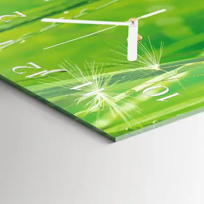 Decoratieve glazen klok vierkant Gras