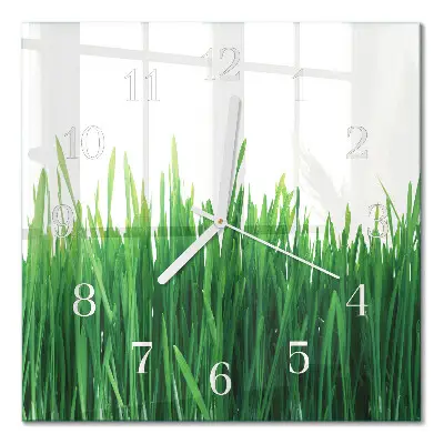 Vierkante glazen wandklok Gras
