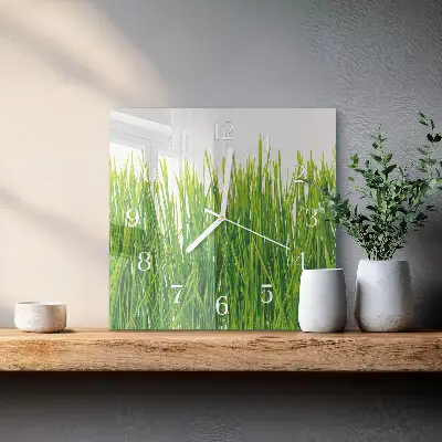 Vierkante glas klok Gras