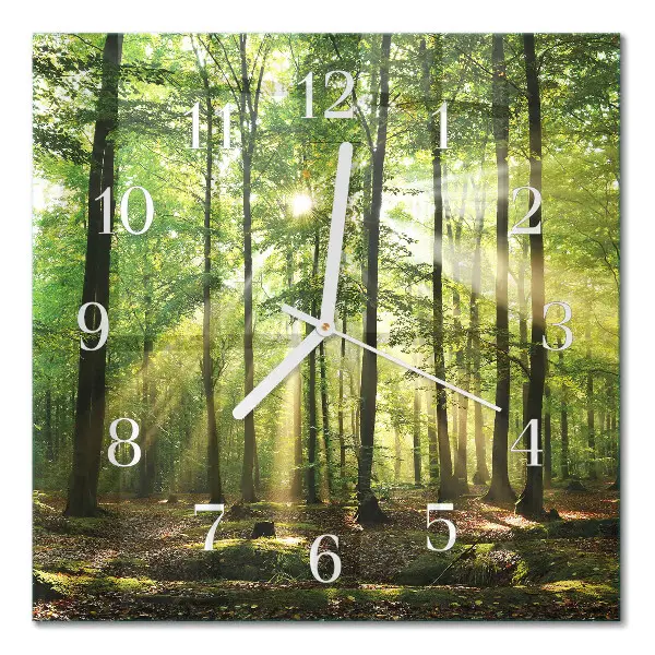 Decoratieve glazen klok vierkant Bosnatuur