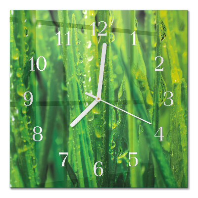 Moderne wandklok glas vierkant Gras