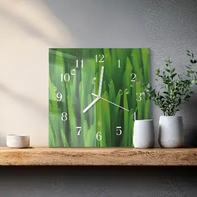 Vierkante glas klok Gras