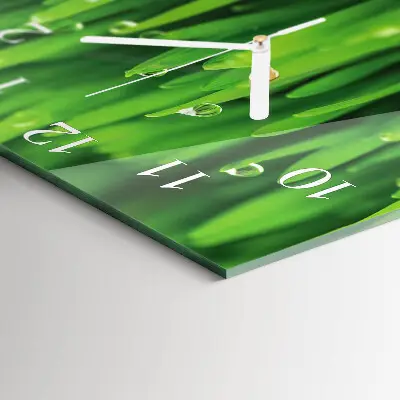 Vierkante glas klok Gras