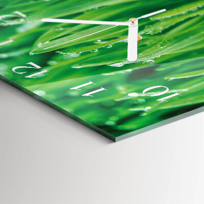 Moderne wandklok glas vierkant Groen gras