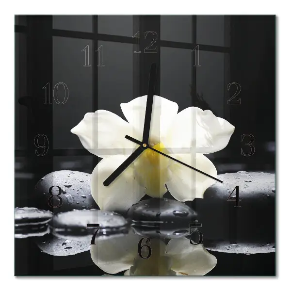 Decoratieve glazen klok vierkant Stenen en orchidee