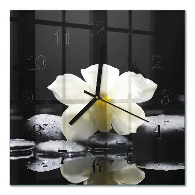 Decoratieve glazen klok vierkant Stenen en orchidee