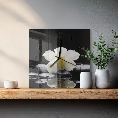Decoratieve glazen klok vierkant Stenen en orchidee