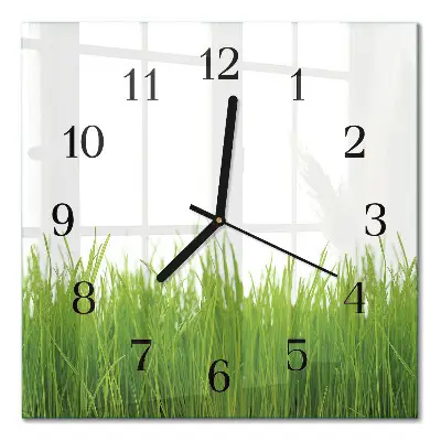 Decoratieve glazen klok vierkant Gras
