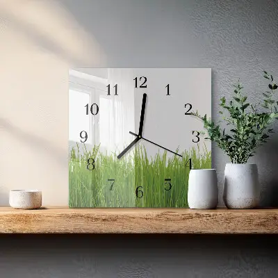Decoratieve glazen klok vierkant Gras