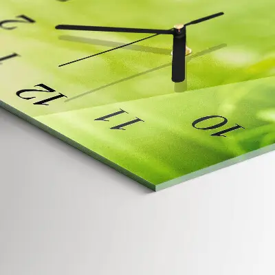 Moderne wandklok glas vierkant Gras