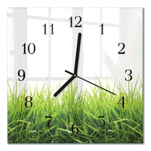 Decoratieve glazen klok vierkant Gras