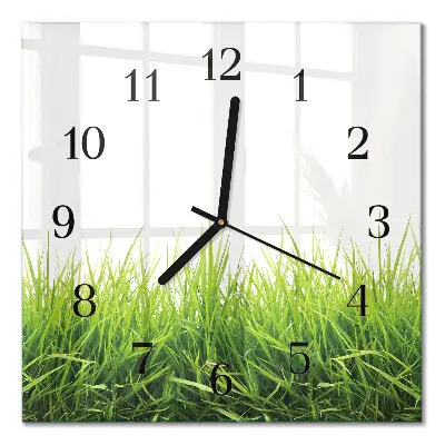Decoratieve glazen klok vierkant Gras