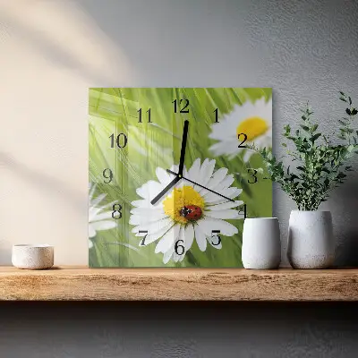Decoratieve glazen klok vierkant Madeliefjes