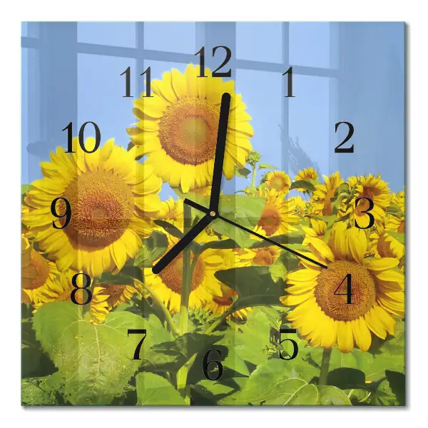 Moderne wandklok glas vierkant Zonnebloemen