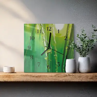 Decoratieve glazen klok vierkant Druppels op het gras