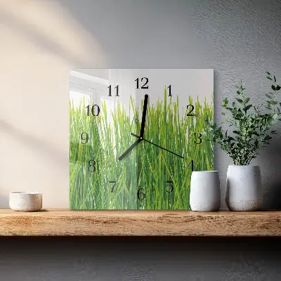 Vierkante glazen wandklok Gras