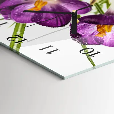 Decoratieve glazen klok vierkant Krokussen